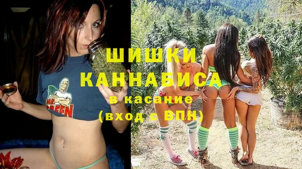 прущие грибы Арсеньев