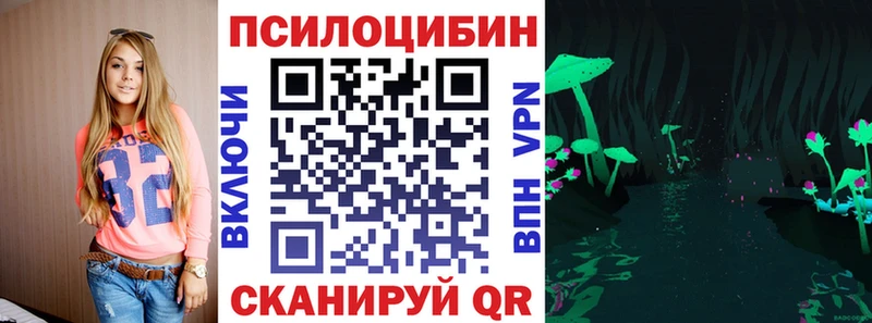 Купить закладки  Лахденпохья  Галлюциногенные грибы Psilocybine cubensis 